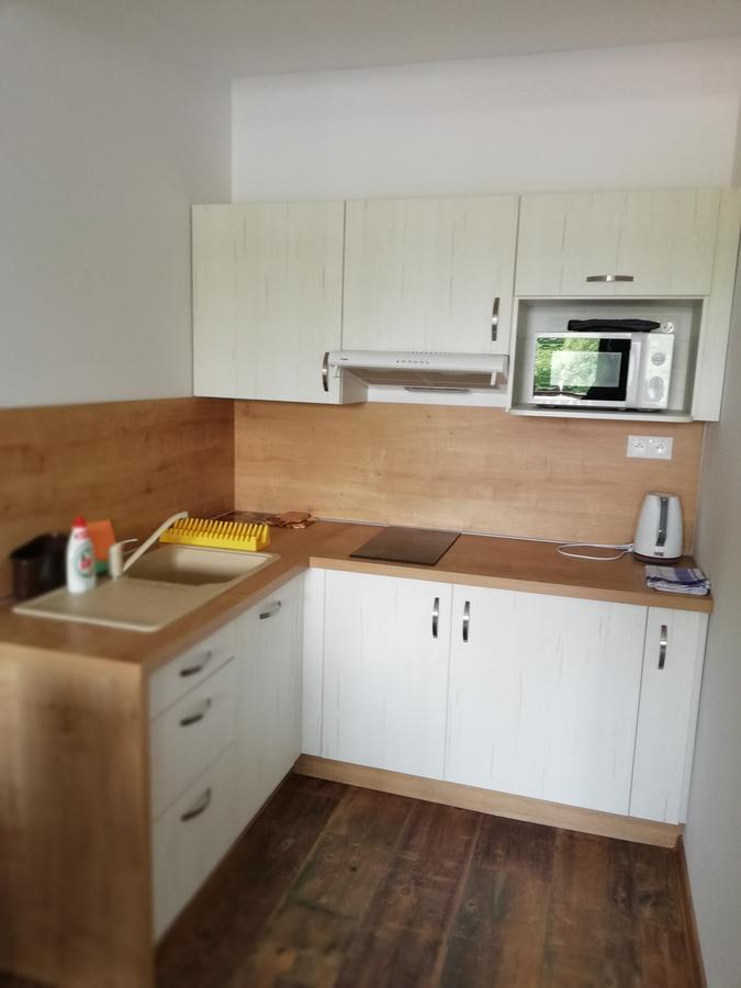 Apartman Skalnicka - Tatranská Lomnica Eksteriør billede